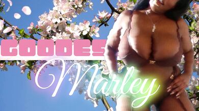 Just Oily Ebony Feet - Foot Worship, Soles, Oil Fetish - Goddess Marley