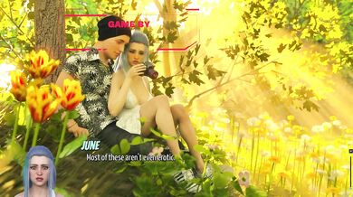 Photo Hunt #439 PC Gameplay