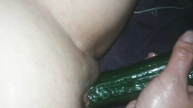 Pussy Insertions Compilation