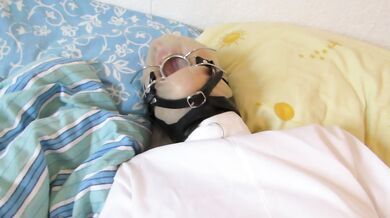 Moaning orgasm in breathplay mask and straightjacket with Magic Wand (2014)