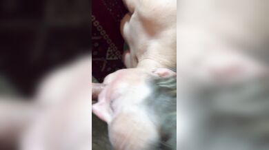 Dirty Blonde MILF Enccourages Her Man With Funny Dirty Talk