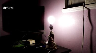 'Brighten Up Your Space with the SYLVANIA 15808 A19 Incandescent Light Bulb'