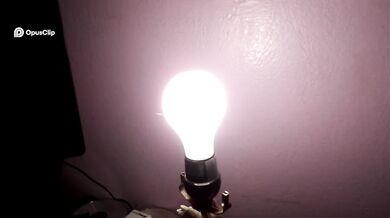 'Brighten Up Your Space with the SYLVANIA 15808 A19 Incandescent Light Bulb'