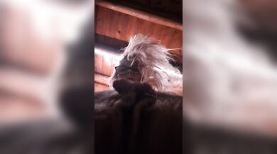 Pov (What It looks like with me on top Riding) 2