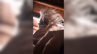 Pov (What It looks like with me on top Riding) 2