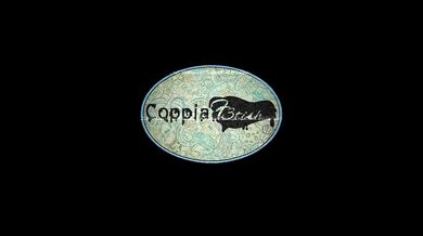 CoppiaF3tish fueled by cazzo nero re