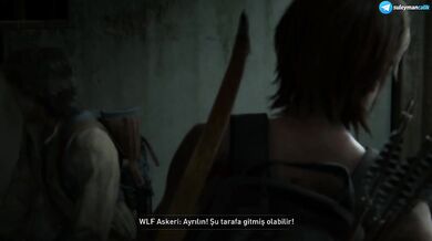 The Last of Us Part II - #18