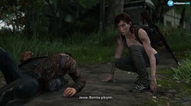 The Last of Us Part II - #19