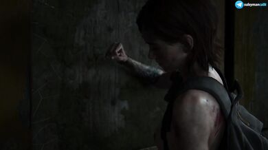 The Last of Us Part II - #19