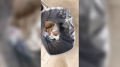 I pissed in a gas station bathroom trash can. Felt so naughty.