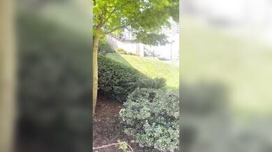 Hot MILF Pees & Cum on edge of busy a public square.