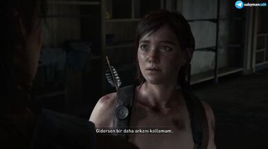 The Last of Us Part II - #27