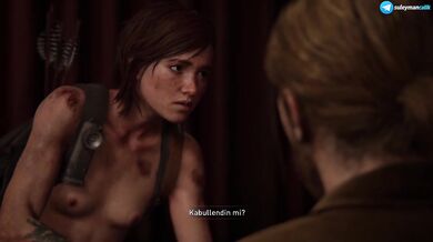 The Last of Us Part II - #29