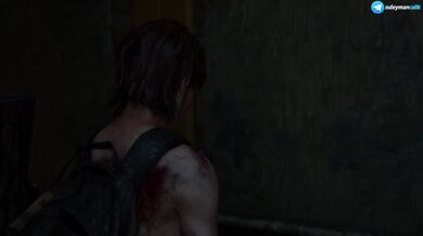 The Last of Us Part II - #24