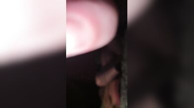 Fat bitch have fun with anal plug and face fucked