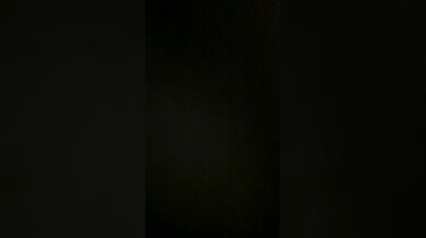 Dutch JOI