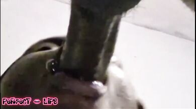 PERFECT LIPS mouth gets the sloppiest had him cuming like crazy