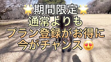 【個人撮影/野外露出不倫】某公園で肥育肉厚ボディとデカ乳首晒して興奮し、見られながらもアクメが止められない不倫妻