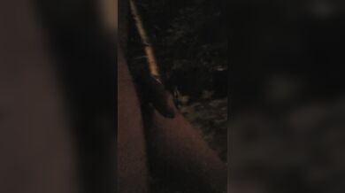 Nude Walk through the night - Public