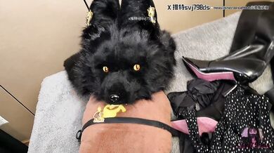 生活系的居家周末记录