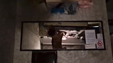 Eating Thai Pussy