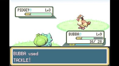White boy rails gym leader