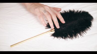 Feather of Desire