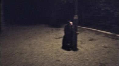 Sucking my dildo in the park, waiting for someone to catch me