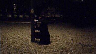 Sucking my dildo in the park, waiting for someone to catch me