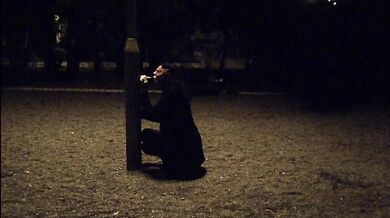 Sucking my dildo in the park, waiting for someone to catch me
