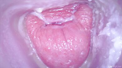 Camera In Pussy Orgasms FULL VIDEO Masturbate with Me Series Ep. 5