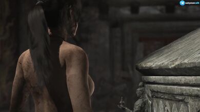 Tomb Raider - #11