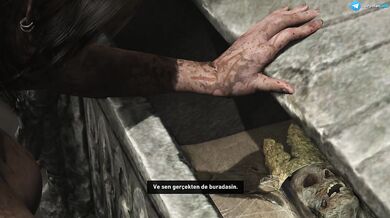 Tomb Raider - #11