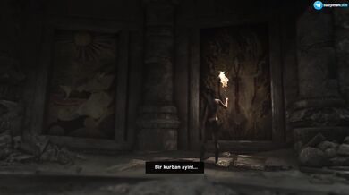 Tomb Raider - #11