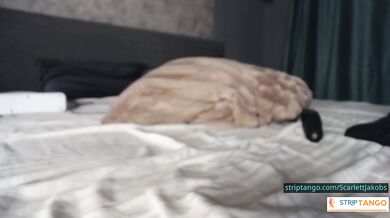 Scarlettjakobs Wild Trampoline Of Tight Pussy And Trembling Ass