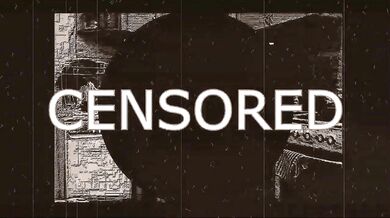 Peter Stone - The Naked Truth, or PMS (Prose by my spouse), the original video version of the audiobook (21, 22)...