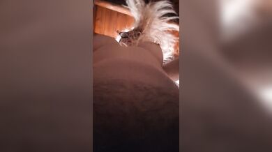 Pov (What It looks like with me on top Riding) 3