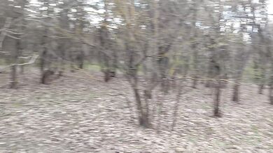 I fucked a stranger in the mouth in the forest while talking - Lesbian_illusion