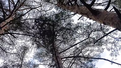 After I pissed in the forest, my girlfriend licked my remaining pee off her pussy - IkaSmokS