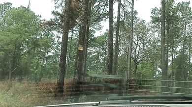 MEETING THA TALLEST CHICK IN AMERICA ON DIRT ROAD!