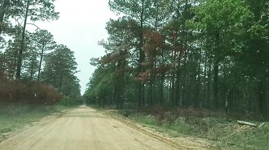 MEETING THA TALLEST CHICK IN AMERICA ON DIRT ROAD!