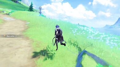 Skimpy Fae Flins - Genshin Impact Mod Sexy