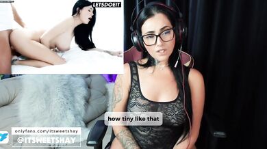 Porn React - Eveline Dellai - Amazing Brunette Romantic Girlfrined Deepthroat, Missionary, Small Tits, Pussy Licking, Anal - LetsDotIt - ItSweetShay