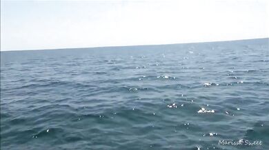 Boat Ride