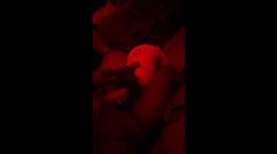 Forbidden lust fuels desperate cock domination