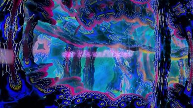 we made a trippy porno music vid (porn vlog)