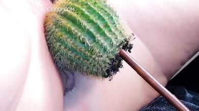 Lady Shock - Cactus show