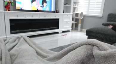 I Sucked and Fucked My Boyfriend on the Couch in Front of my College Roommate!