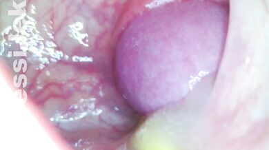 Endoscope In Girl shows Anal Fuck - ASS Mastrubate and Creampie wth Fan JessiJek