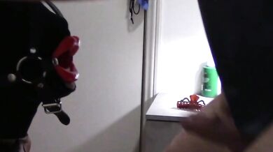 Laura's ring cuts deep with fierce blowjob
